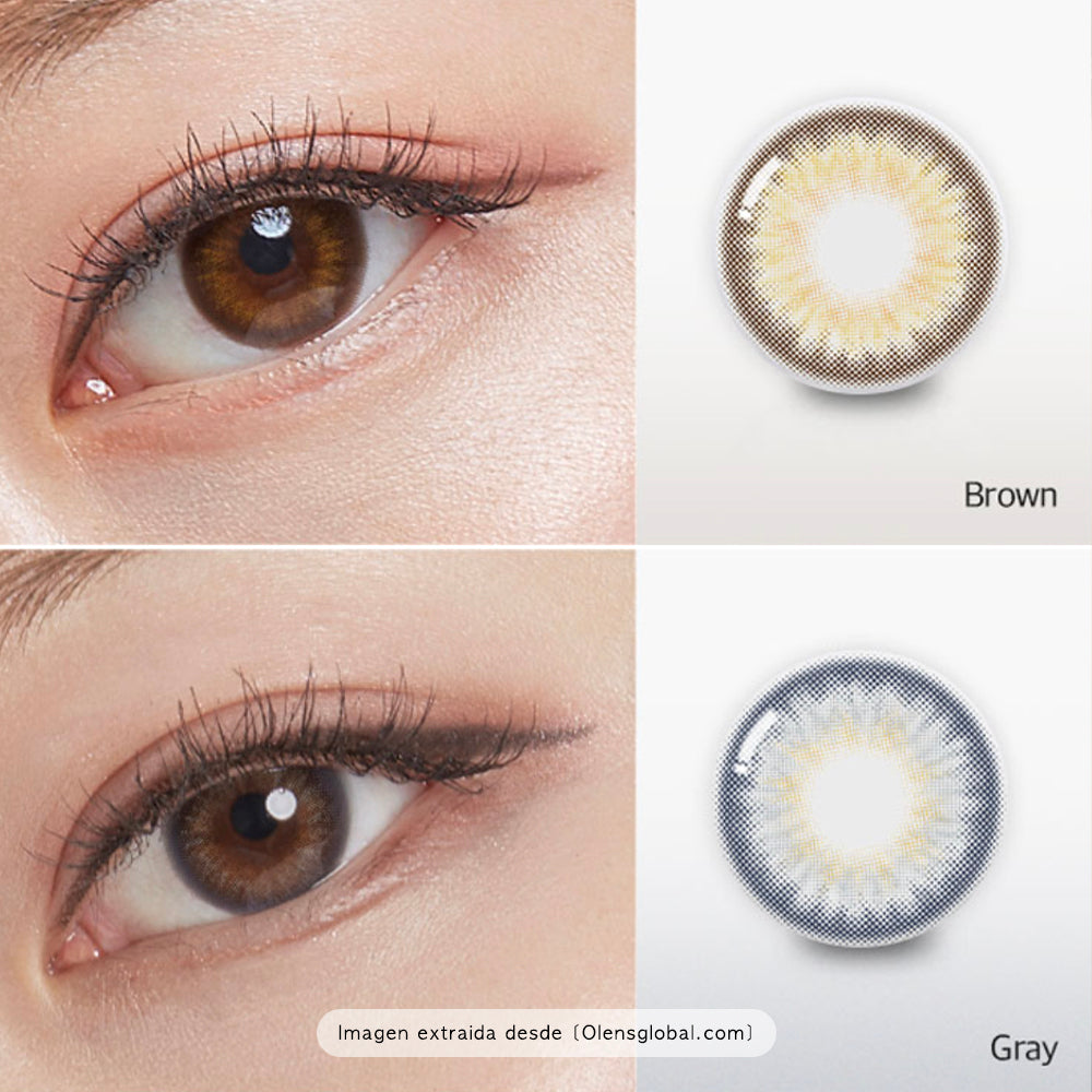 Spanish Circle Brown / 1 Mes